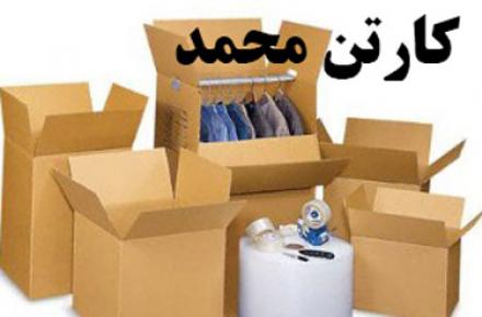 کارتن